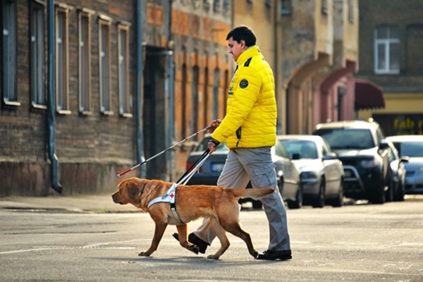 Mārtiņš ar suni-pavadoni staigā pa pilsētu