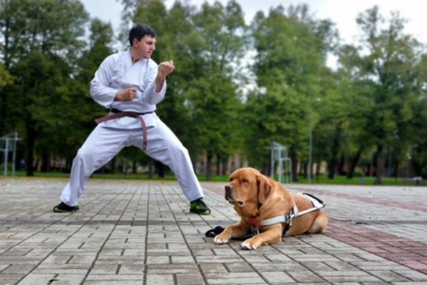 Mārtiņš un Romeo karatē treniņā