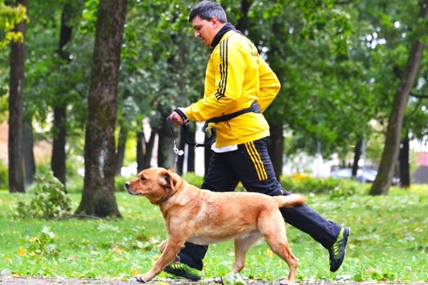 Mārtiņš un Romeo rīta skrējienā